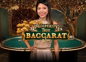 프로스페리티 트리 바카라 테이블에서 딜러가 라운드를 진행하는 모습